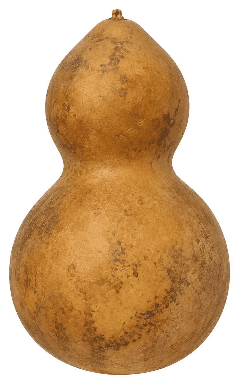Porongo en bruto
